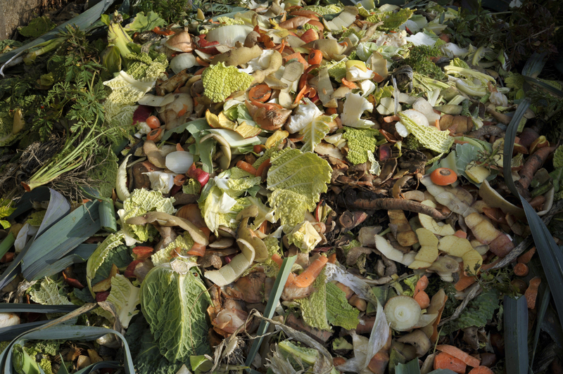 waste disposal home